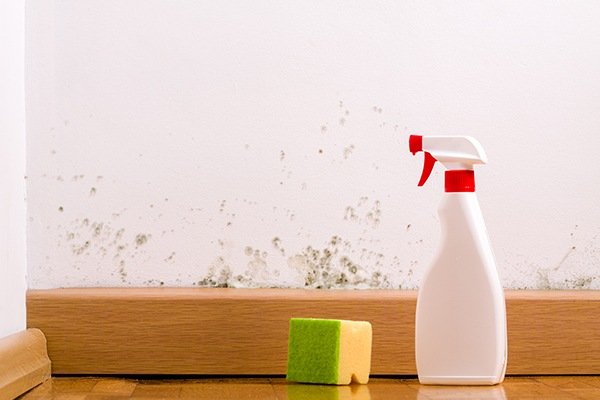sponge and cleaning bottle solution